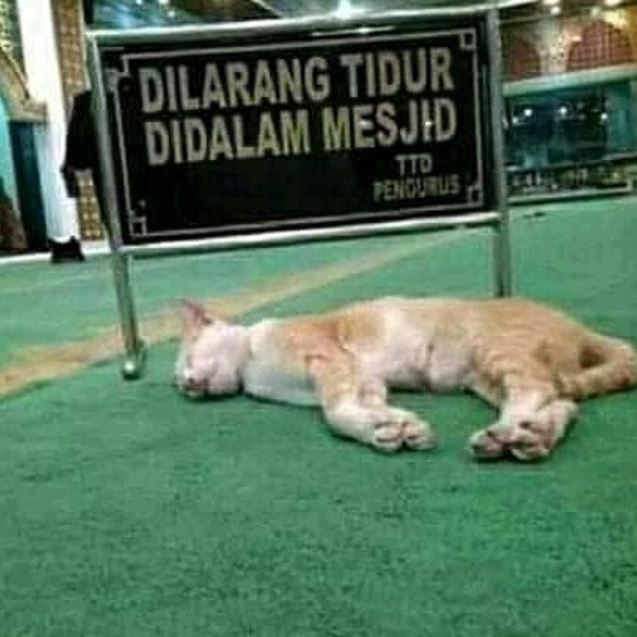 21 Kelakuan absurd orang melanggar aturan ini bikin jengkel