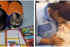 10 Momen lucu keakraban manusia dan hewan ini bikin ngiri