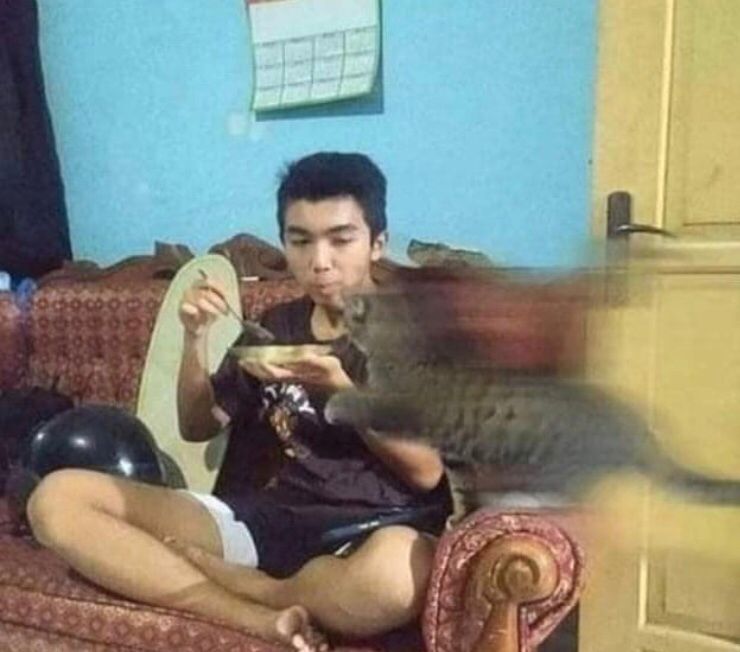 11 Potret lucu hewan jadi photobomb, momennya pas banget nih