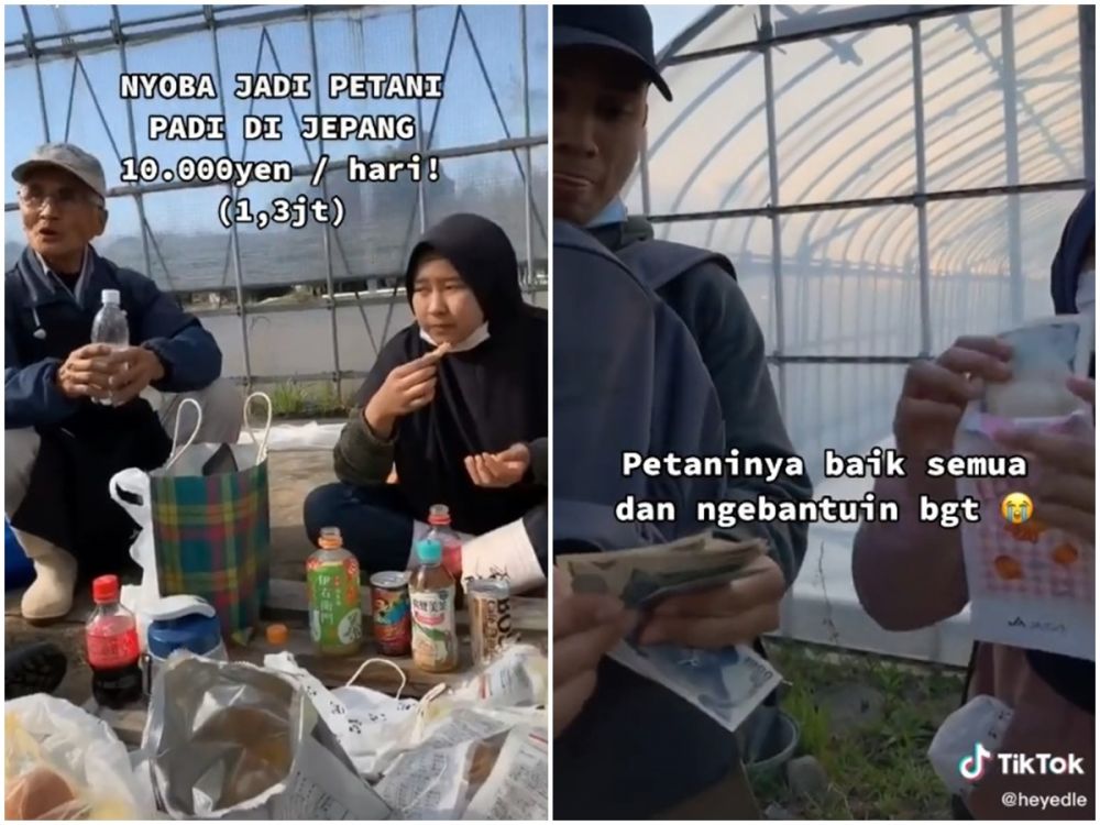 Jadi petani jamur, mahasiswa Indonesia ini digaji Rp 1,3 juta perhari