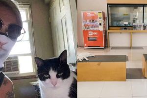 9 Potret lucu tingkah laku majikan tiru hewan kesayangannya