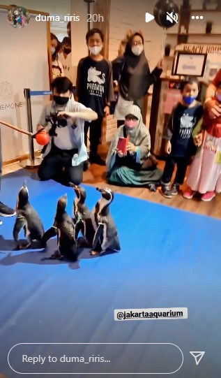 Ada pinguin, ini 9 momen Judika rayakan ultah anak bertema seaworld