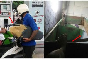 11 Potret lucu orang harus susah payah, alasannya nyeleneh