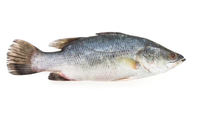 9 Arti mimpi digigit ikan, bisa jadi pertanda baik buat kamu!