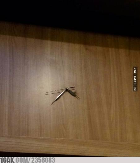 17 Desain nyeleneh jam dinding ini bikin dahi mengerut