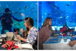 View kece, momen 11 pasangan seleb dinner berlatar akuarium raksasa