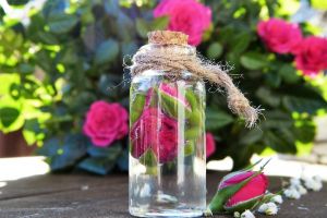 7 Manfaat air mawar untuk wajah, kulit jadi sehat dan berseri