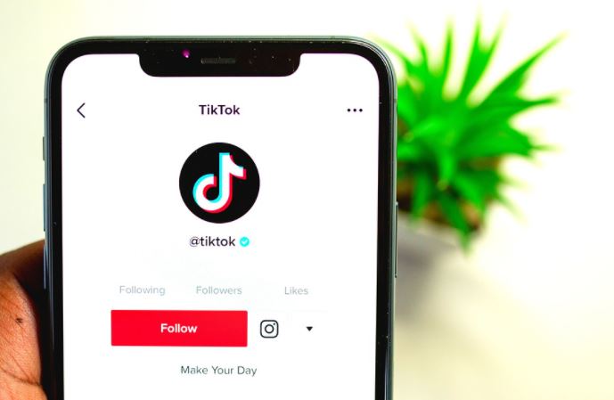 Cara cek uang di TikTok via aplikasi dan website, antiribet