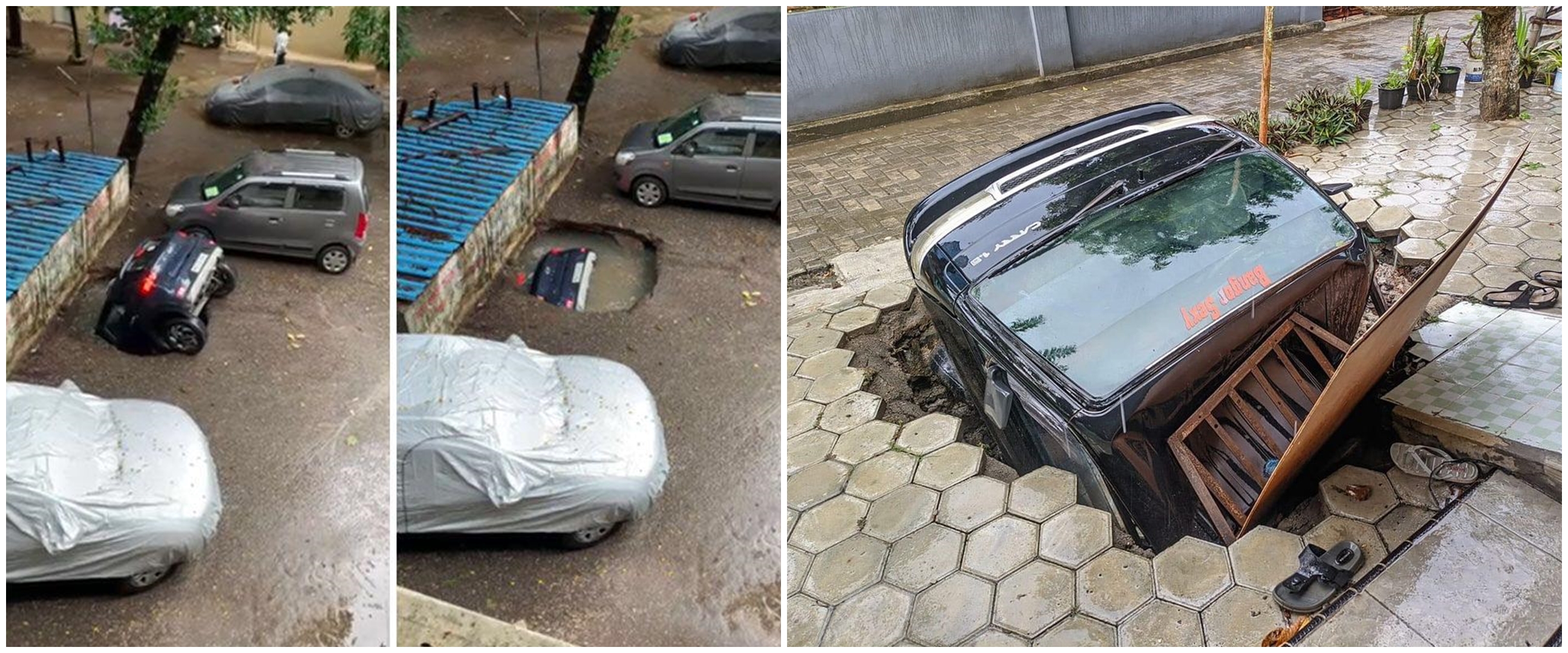 13 Momen apes saat sedang parkir, bikin nggak habis pikir