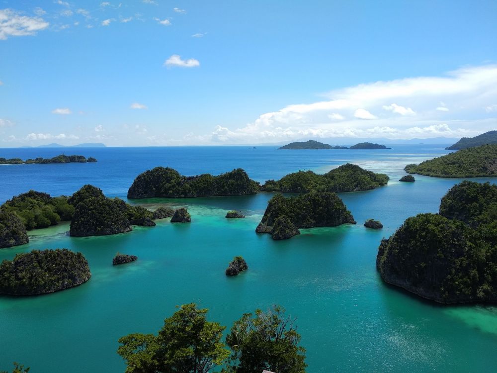 6 Tempat wisata wajib kunjung di Raja Ampat, surga tropis Indonesia