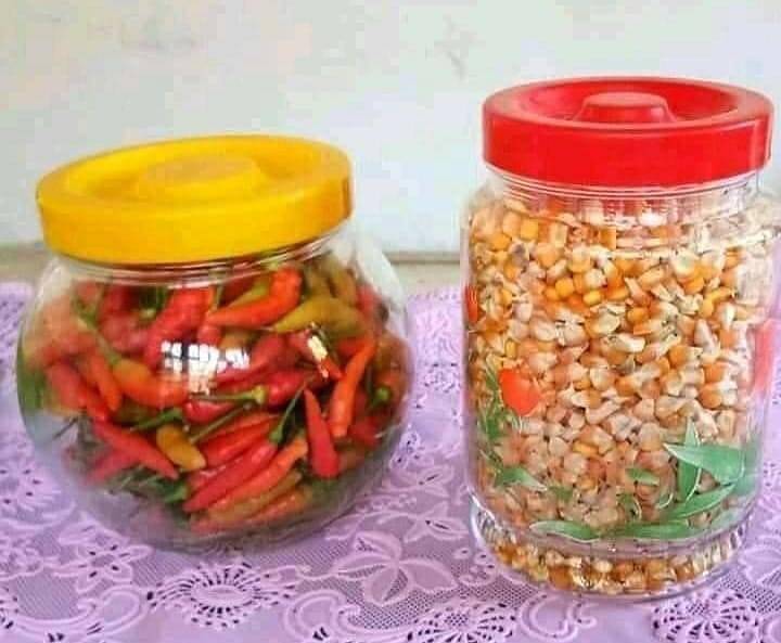 13 Desain benda buat tamu di rumah ini malah bikin mikir dua kali