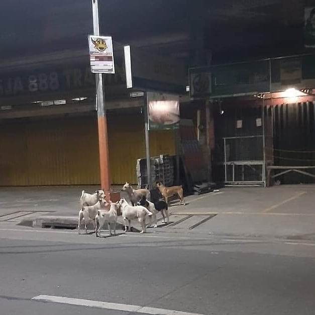 11 Penampakan di jalan ini bikin yang mau lewat jadi mikir