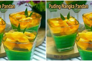 Resep puding nangka pandan, mudah, enak, dan cocok jadi camilan