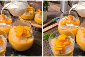 Resep puding mangga, lembut, enak, simpel, dan menggugah selera