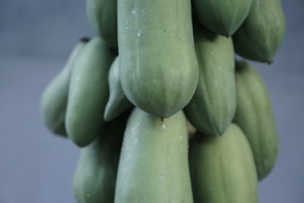 9 Buah ini bantu lancarkan ASI secara alami