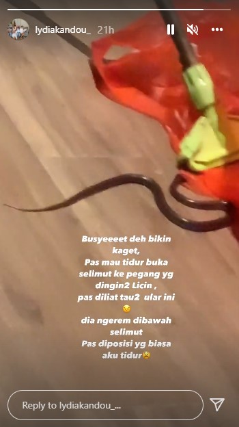 Lidya Kandou temukan ular di selimut tempat tidur, bikin bergidik