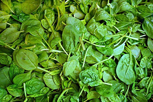 Tinggi protein, 10 bahan makanan ini bisa jadi pengganti tempe