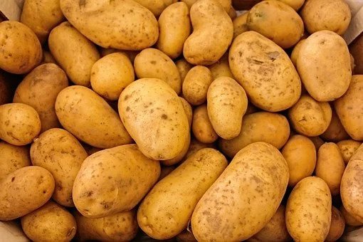 Tinggi protein, 10 bahan makanan ini bisa jadi pengganti tempe
