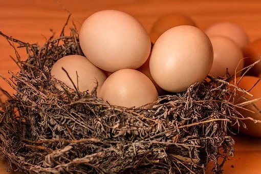Tinggi protein, 10 bahan makanan ini bisa jadi pengganti tempe