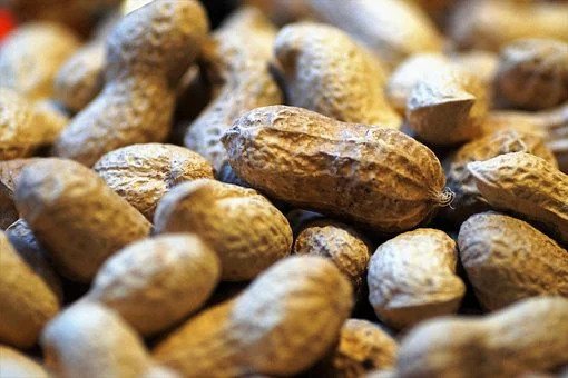 Tinggi protein, 10 bahan makanan ini bisa jadi pengganti tempe