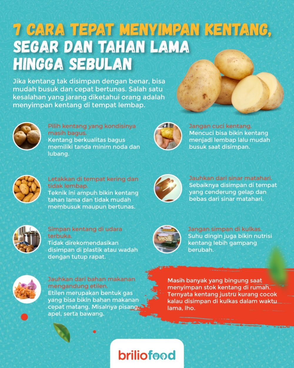 7 Cara tepat menyimpan kentang, segar dan tahan lama hingga sebulan
