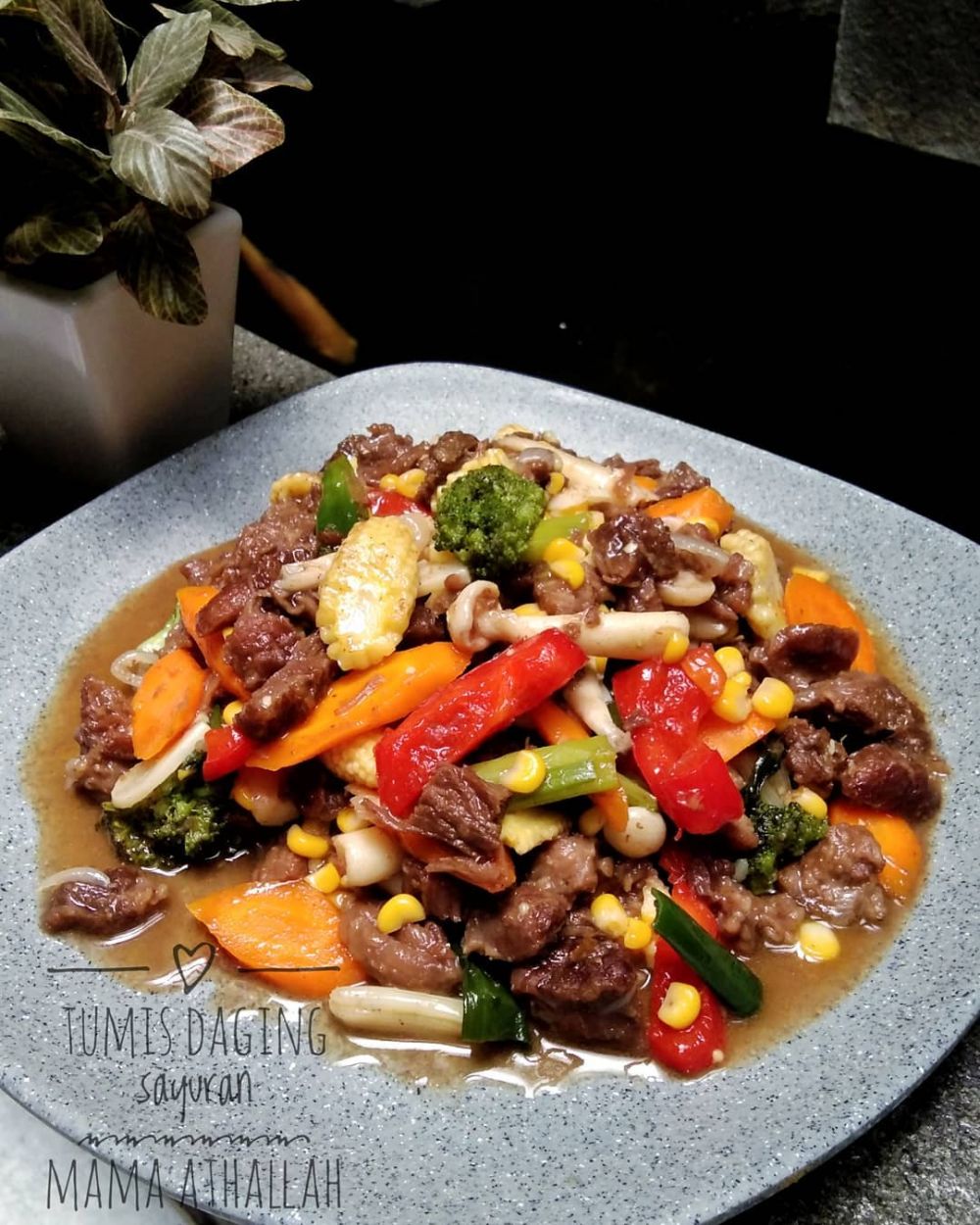 13 Resep olahan daging sapi campur sayur, mudah dibuat & menyehatkan