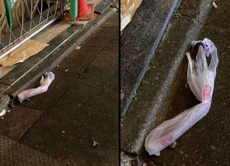 13 Penampakan benda bikin kaget ini pas di-zoom ngeselin