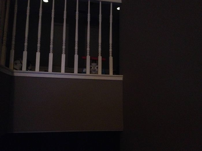 13 Penampakan benda bikin kaget ini pas di-zoom ngeselin