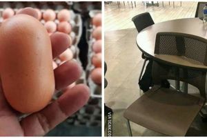 15 Potret absurd benda ngebug ini bentuknya bikin gagal fokus