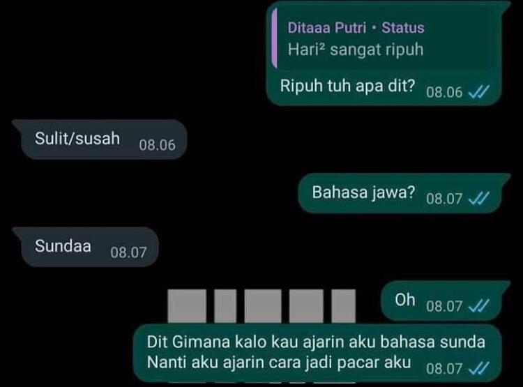 13 Chat lucu ada motif tersembunyi, endingnya menjengkelkan
