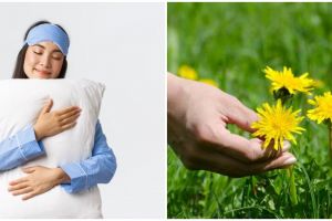 10 Arti mimpi memetik bunga yang perlu diketahui, bawa kebahagiaan