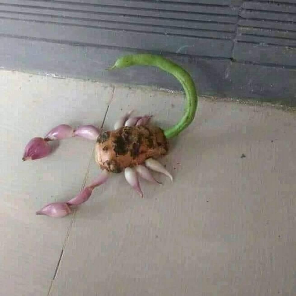 15 Penampakan lucu bahan dapur mirip benda nyeleneh, bikin heran