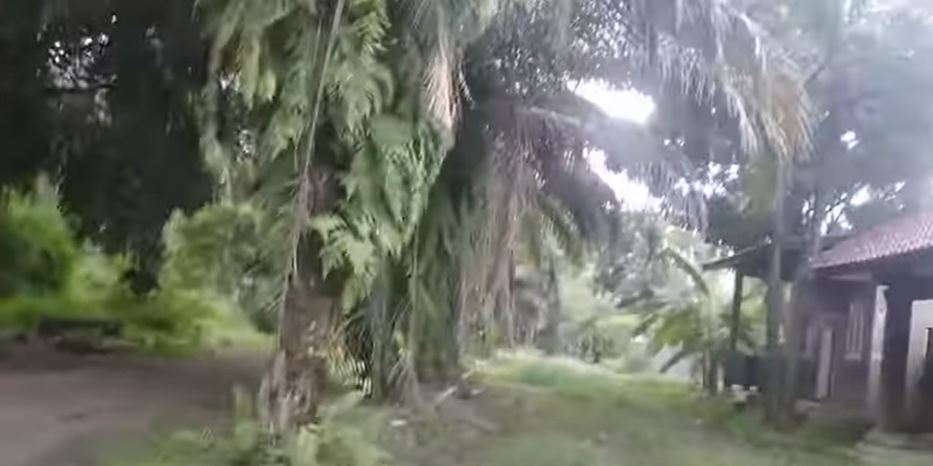 9 Potret basecamp mendiang Mbah Surip yang mangkrak, patungnya utuh