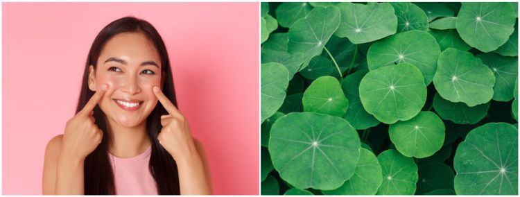 7 Kandungan skincare untuk memperbaiki skin barrier