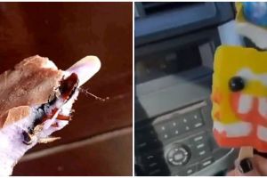 13 Momen lucu orang beli es krim, malah apes banget