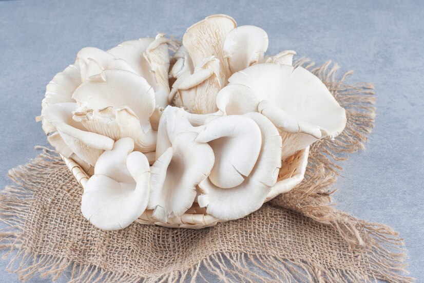 7 Cara tepat menyimpan jamur tiram, segarnya awet hingga seminggu