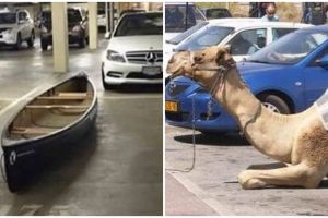 21 Penampakan nyeleneh kendaraan saat diparkir ini bikin garuk kepala