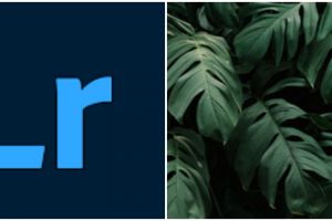 Cara download dan pasang preset Adobe Lightroom, edit foto jadi mudah