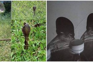 15 Momen lucu hampir terkecoh ini awalnya bikin deg-degan