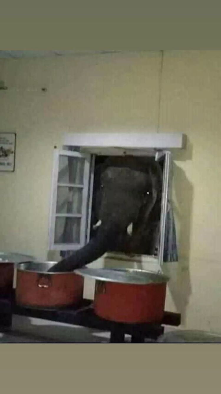 11 Momen lucu waktu lagi masak di dapur, ada-ada aja penampakannya