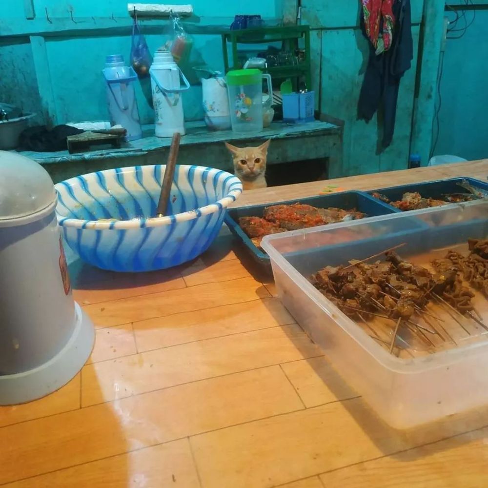 11 Momen lucu waktu lagi masak di dapur, ada-ada aja penampakannya