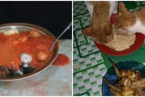 13 Momen nyesek nggak jadi makan, bikin bad mood seharian