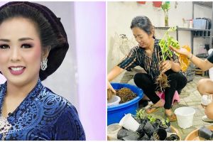 5 Potret kocaknya Soimah ajak bos TV urus kebun