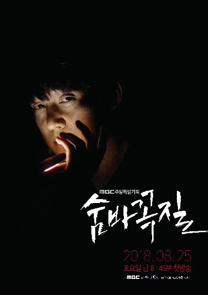 11 Drama Korea Ahn Bo-hyun, terbaru Military Prosecutor Doberman