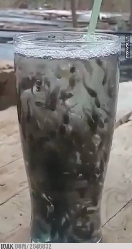 9 Potret nyeleneh minuman kekinian ini bikin dahi berkerut