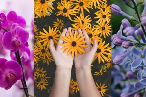 Tes ini dapat mengenali tantangan yang harus kamu atasi, coba yuk