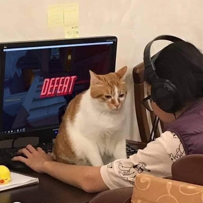 13 Momen apes ini cuma bisa dirasakan pemilik kucing, setuju nggak?