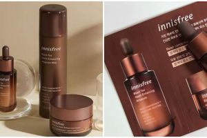 4 Produk Innisfree Black Tea Youth Enhancing dan manfaatnya buat wajah