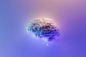 Kanan vs kiri, kamu bisa tahu bagian otak yang dominan dari tes ini