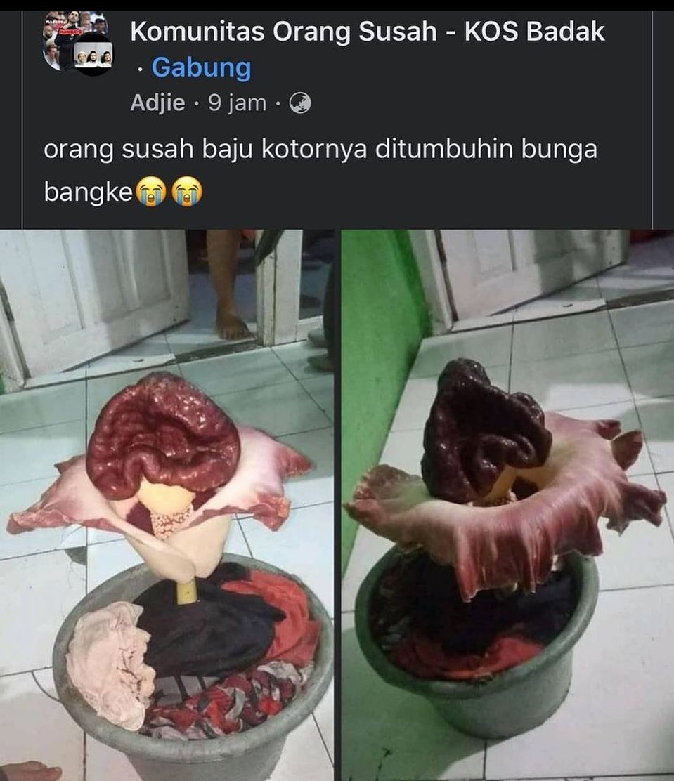 13 Status FB curhat kejadian lucu, bikin tepuk jidat